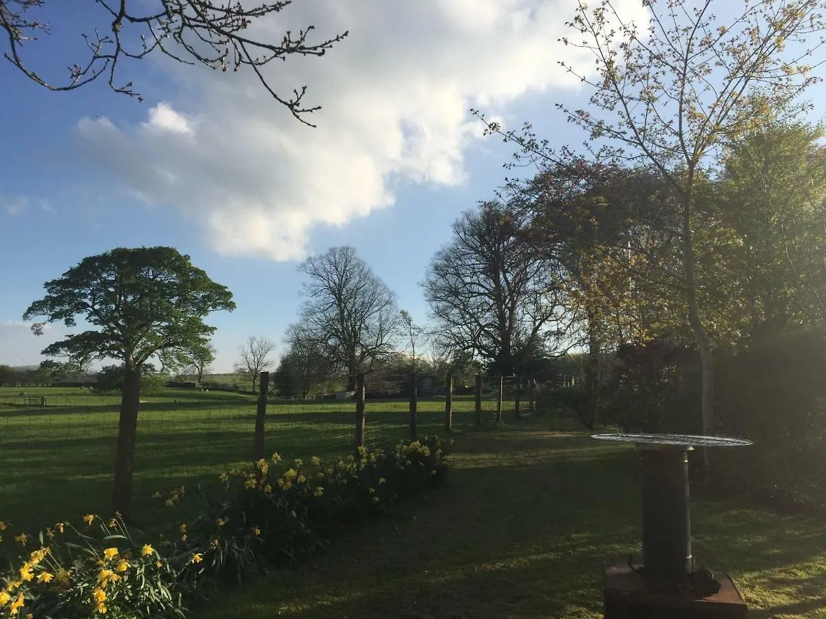Bed & Breakfast Beech House Greystoke